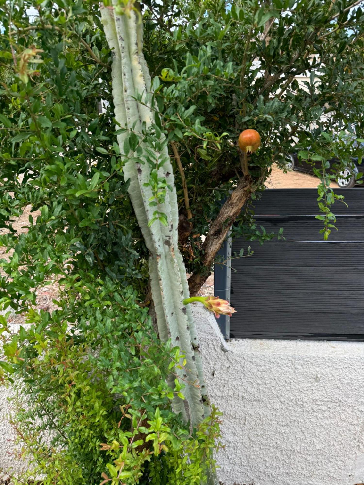 Secret Garden Airport-Beach Villas 300M From Famous Davis Beach Artemida  Esterno foto